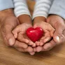 Baromètre de la solidarité 2026